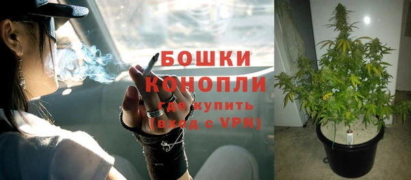 прущая мука Гусев