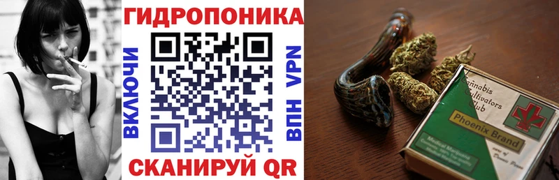 Шишки марихуана SATIVA & INDICA  Купить где  Исилькуль 
